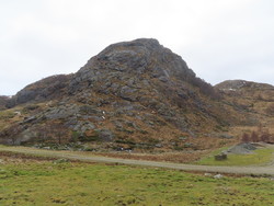 Årsnuten