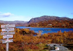 Taumevassknuten