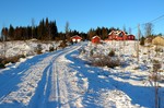 Lønnhøgda