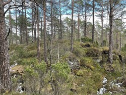 Hatledalsåsen