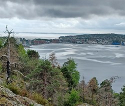 Røysås