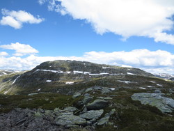 Gråeggi