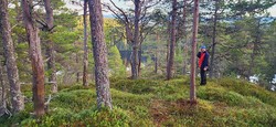 Hengekøye med utsikt