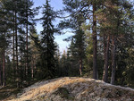 Ahvenlamminkallio