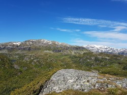 Storskornuten