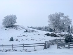 Korsåsen trimpost