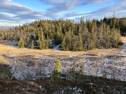 Rokkhaugen