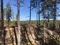 Vangmyrahaugen