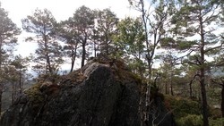 Finnvikåsen