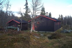 Djupslia