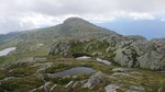 Skorvenuten