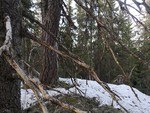 Vardakambtoppen