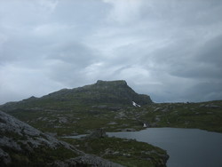 Hestaskardnuten