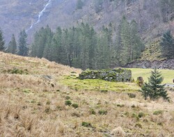 Fjøs og vognhus i Seterdalen