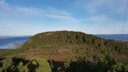 Nauthatten