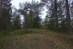 Skjervenåsen