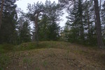Skjervenåsen