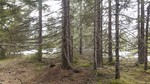 Kirkeberget