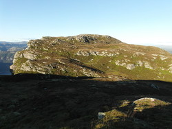Høgeheia