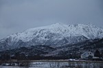 Skalltuva