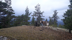 Hvarneskollen Nord