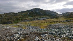 Grytehorgi