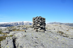 Svartenut