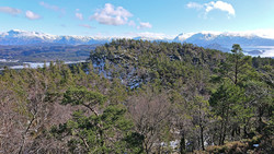 Stussvikhovda