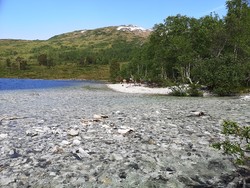 Byrkjeneset