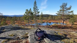 Bjørnhølfjellet
