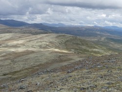 Kringluthøi