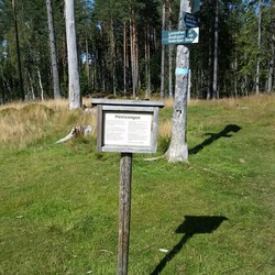 Henivangen