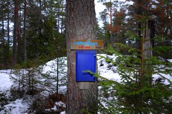 Lønnsåsen