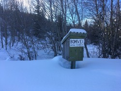 Oksåsvassveien bom Skjelbreikneppa