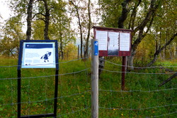 Dombåshaugen