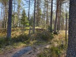 Langfuruåsen nord