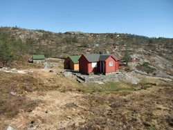 Bernessætra