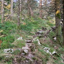 Malerskaret