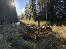 Riksrøys 69