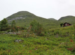 Nipa