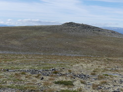 Vesleblåhø