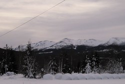 Matapiggknatten