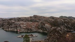 Ryggjastykket