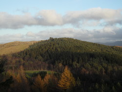 Steinfjellet