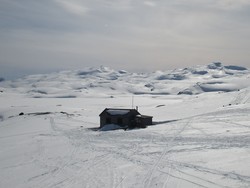 Steinavatnet