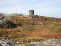 Fjellbroddlifjellet