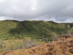 Høgefjellet