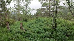 Ådneskarhaugen