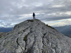 Kvelvanuten