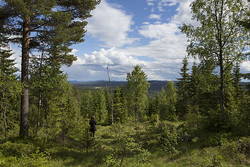 Agnåsen